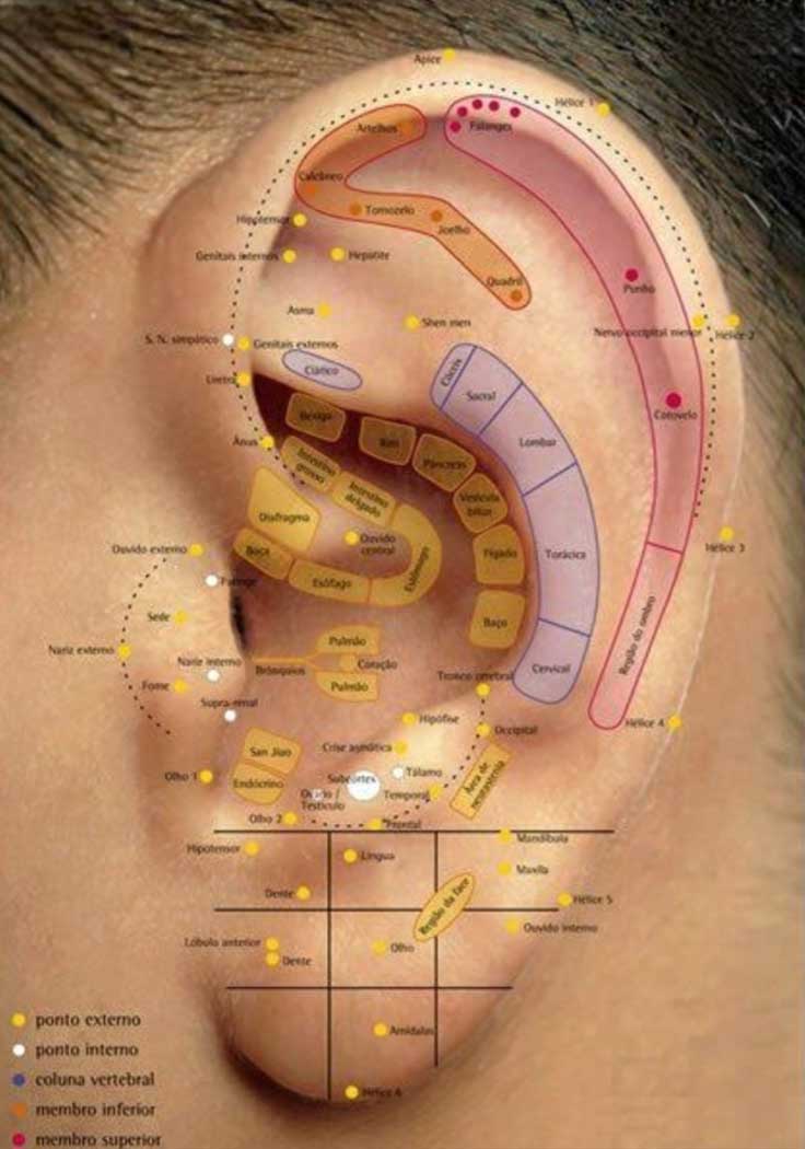 Auriculoterapia Chinesa
